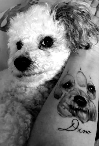 Erinnerungs Tattoos-Beitrag-Bild