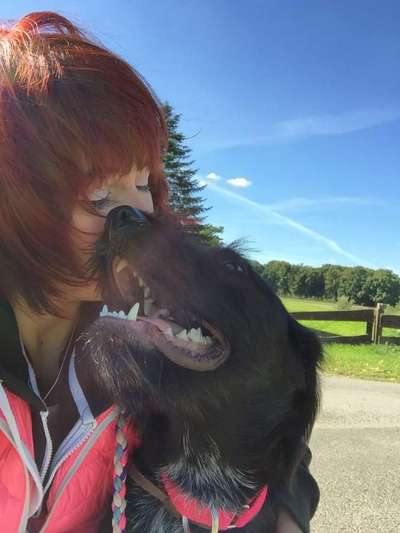 Dogorama Photo Challenge - Be my valentine-Beitrag-Bild