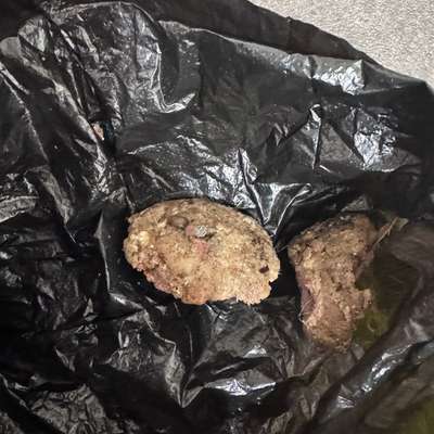 Giftköder-Nassfutter mit Nägeln-Bild