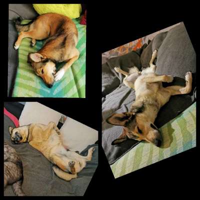 Die unbequemsten und lustigsten Schlafpositionen-Beitrag-Bild