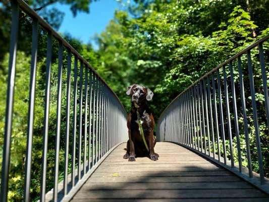 118. Fotochallange-Beitrag-Bild