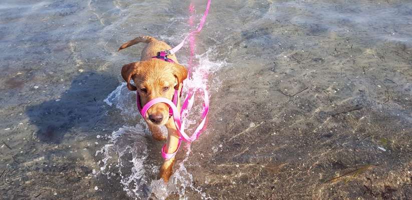 Eure Strandbilder :)-Beitrag-Bild