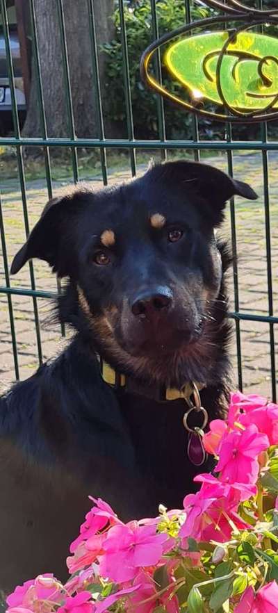 Fotochallange Nr. 57     PORTRÄT.   Beendet!!!!!!!!-Beitrag-Bild