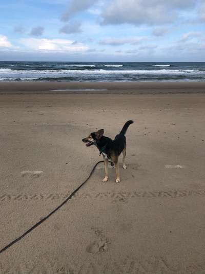 Urlaub Dänemark-Beitrag-Bild