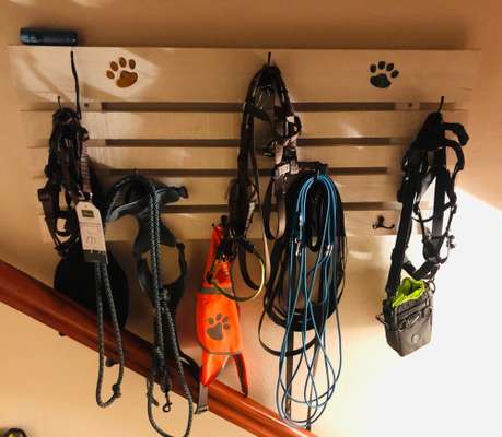 Hundegarderobe-Beitrag-Bild