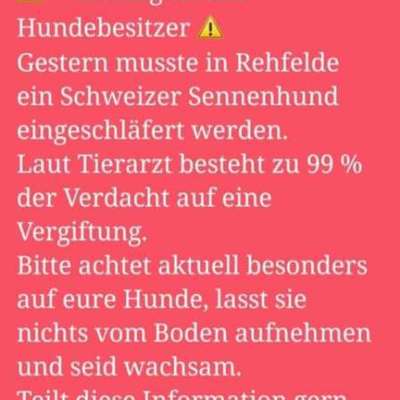 Giftköder-Guftköder-Bild