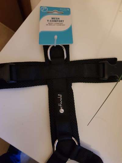 Wie sitzt mein Geschirr?-Beitrag-Bild