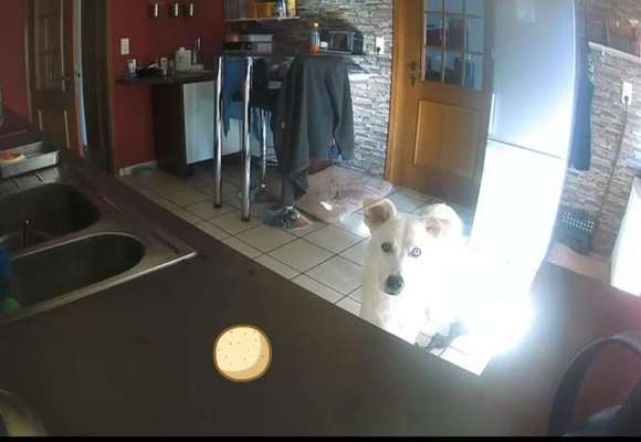 Allein zu Hause-Beitrag-Bild