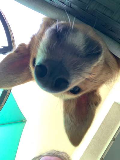 23. Handy Foto-Challenge-Beitrag-Bild