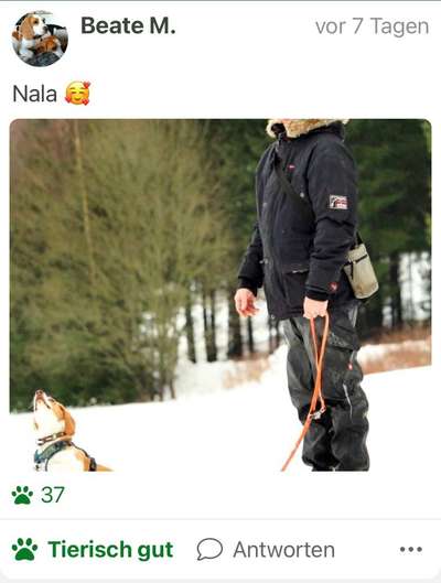 Fotochallenge 108: Starkes Team-Beitrag-Bild