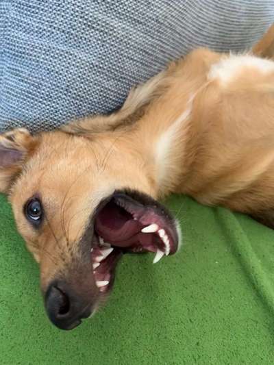 Handy-foto Challange nr. 11-Beitrag-Bild