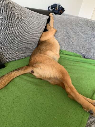 Lustige Grimassen & verrückte Posen-Beitrag-Bild