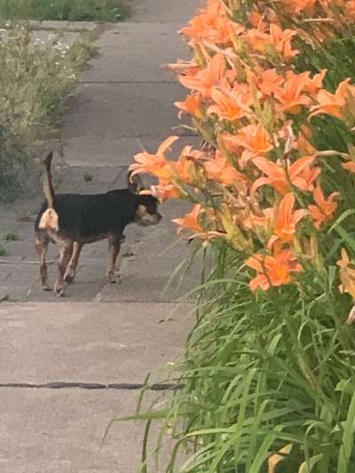 Theos  Fotochallenge Nummer 2-Beitrag-Bild