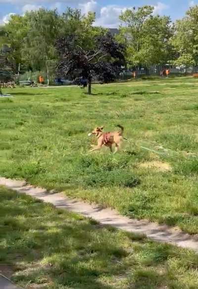 Theos  Fotochallenge Nummer 2-Beitrag-Bild