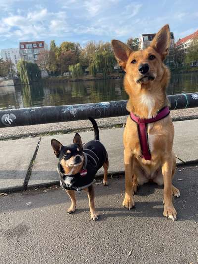 Groß oder Klein?-Beitrag-Bild