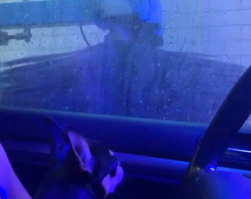 Fotochallenge 101:
On Tour-Beitrag-Bild