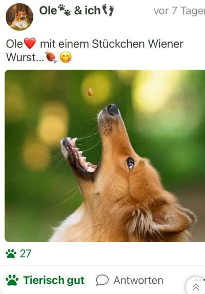 Fotochallenge 110: Lustige und schöne Schnappfotos-Beitrag-Bild