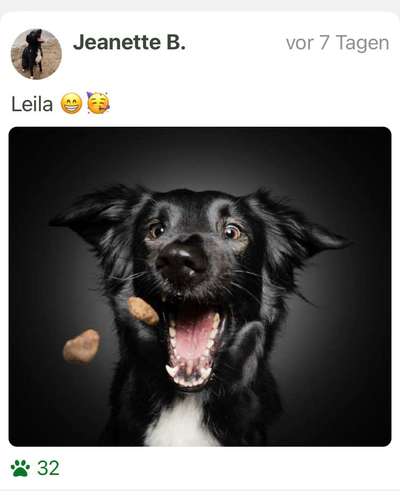 Fotochallenge 110: Lustige und schöne Schnappfotos-Beitrag-Bild