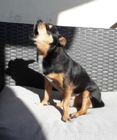 26. Handy Foto Challenge-Beitrag-Bild