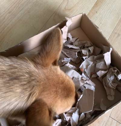 15. Handyfoto Challenge - Indoor Aktivitäten-Beitrag-Bild