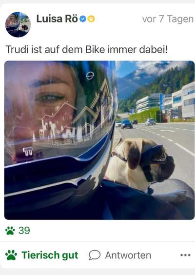 Fotochallenge 108: Starkes Team-Beitrag-Bild