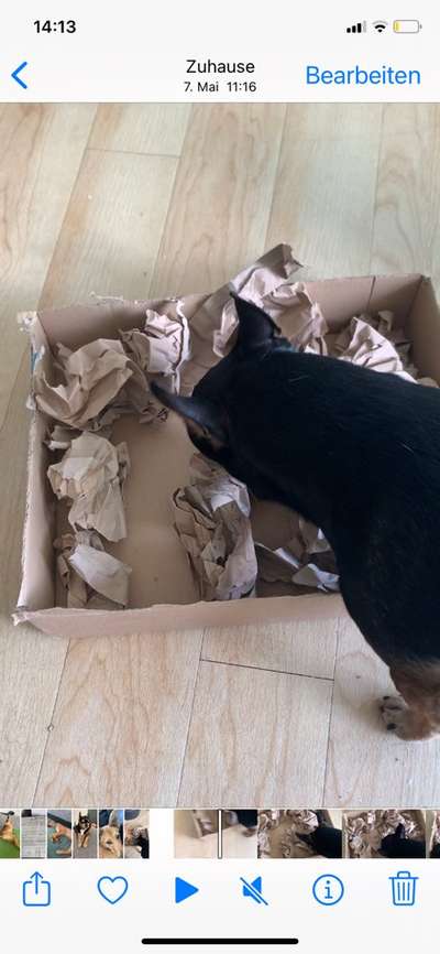 15. Handyfoto Challenge - Indoor Aktivitäten-Beitrag-Bild