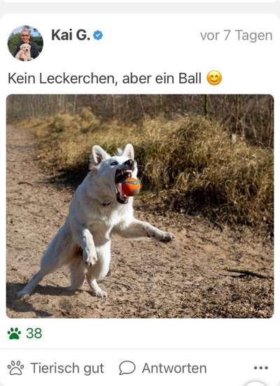 Fotochallenge 110: Lustige und schöne Schnappfotos-Beitrag-Bild