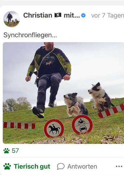 Fotochallenge 108: Starkes Team-Beitrag-Bild