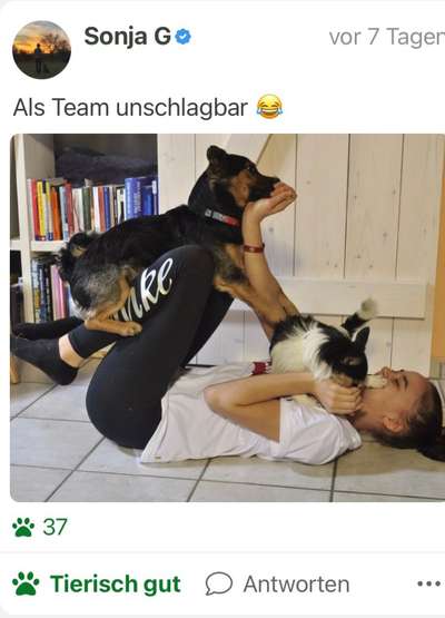 Fotochallenge 108: Starkes Team-Beitrag-Bild