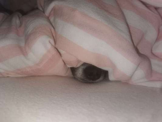 Challenge 21 - wo bin ich : )-Beitrag-Bild