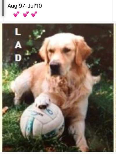 Fotochallenge Nr. 56 - geliebte Senioren-Beitrag-Bild