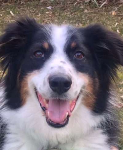 Fotochallange Nr. 57     PORTRÄT.   Beendet!!!!!!!!-Beitrag-Bild