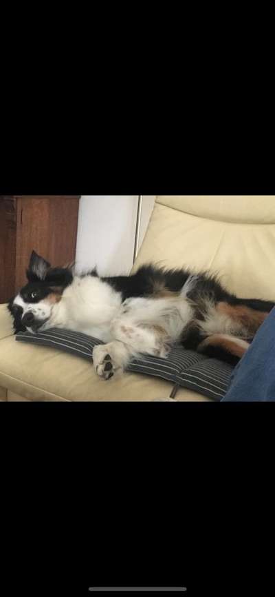 Ab-gehangen-Beitrag-Bild