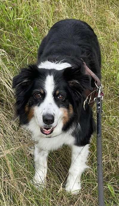 Fotochallenge Nr. 56 - geliebte Senioren-Beitrag-Bild