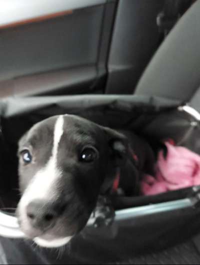 2.Kurzgeschichten Challenge Thema: Autofahren-Beitrag-Bild