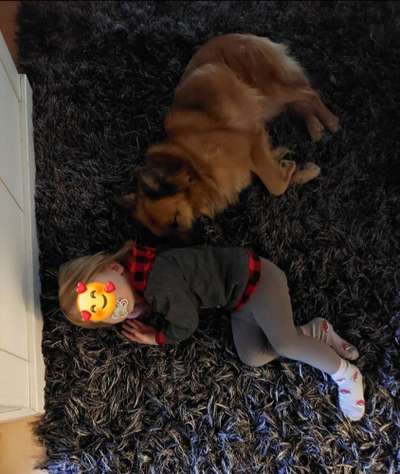 Dogorama Photo Challenge - Frühjahrsmüdigkeit-Beitrag-Bild