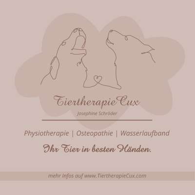 Medizinische Dienstleistungen-TiertherapieCux-Bild