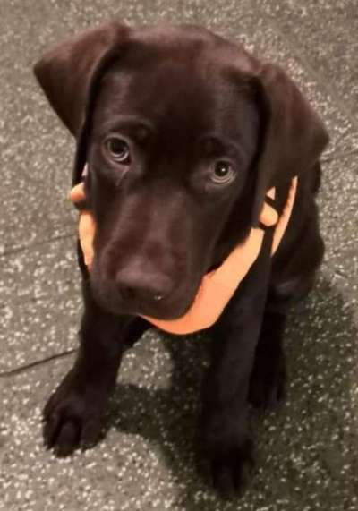 Fotochallenge Nr. 67: Euer Lieblingsbild-Beitrag-Bild