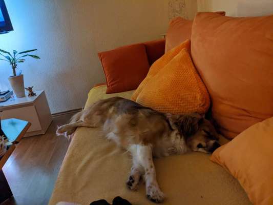 Die unbequemsten und lustigsten Schlafpositionen-Beitrag-Bild