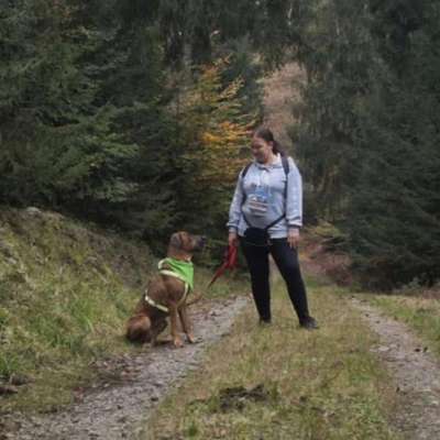 Hundetreffen-Mantrailing, Fährte und Individualtraining-Bild