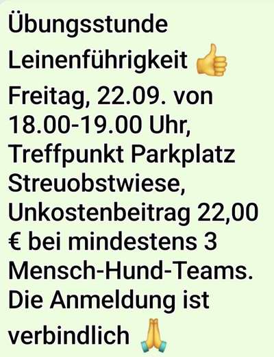 %{de_profession_title}-Hunde-Sozialisierungstreff-Bild