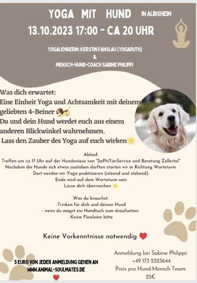 Giftköder-Yoga mit Hund-Bild