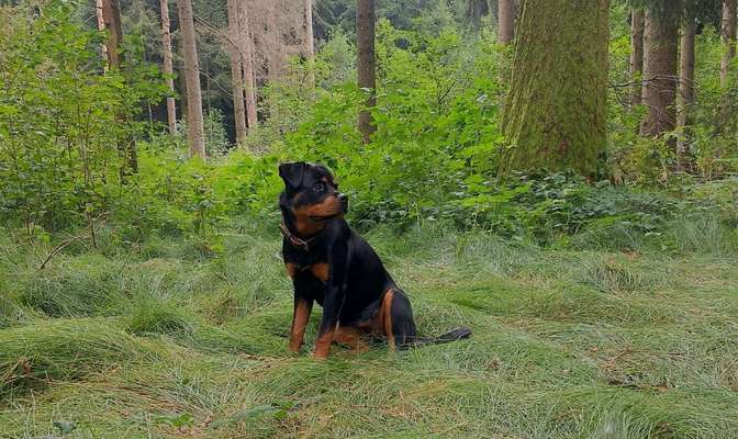 Zeigt eure Portraits-Beitrag-Bild