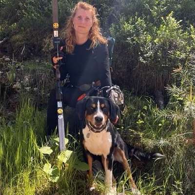 Hundetreffen-Gassirunde mit Spiel