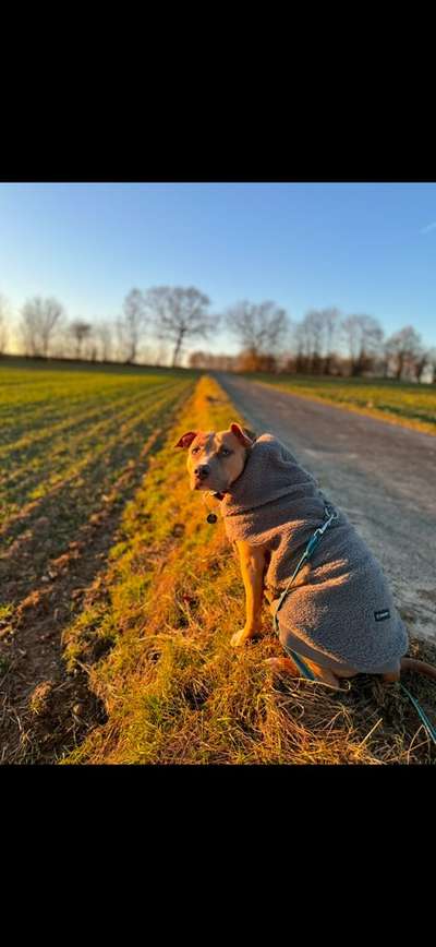 Wintermäntel bzw. Was fürn Übergang-Beitrag-Bild