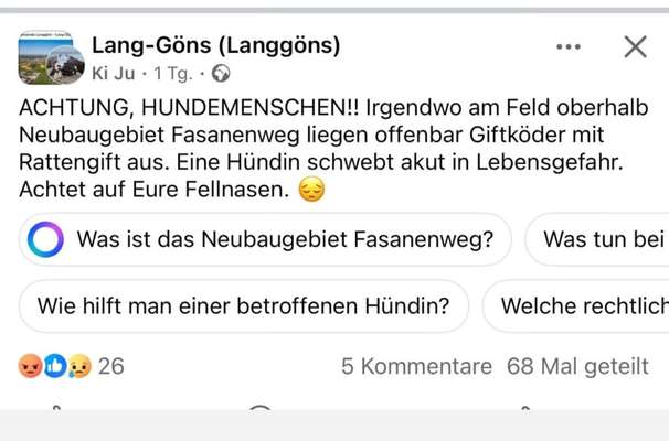 Giftköder-Vermutlich Rattengift/ Giftköder-Bild