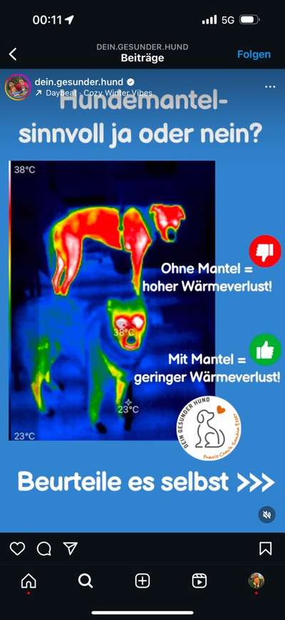 Wintermäntel bzw. Was fürn Übergang-Beitrag-Bild