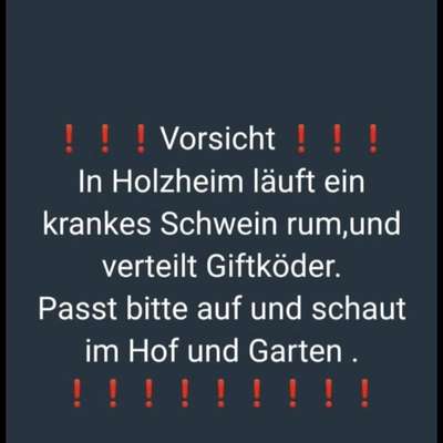 Giftköder-Vermutlich Giftköder-Bild