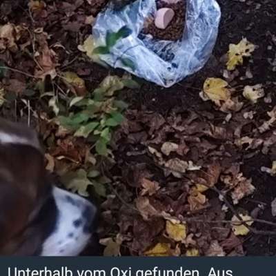 Giftköder-Evtl Giftköder Münchholzhausen & Dutenhofen-Bild