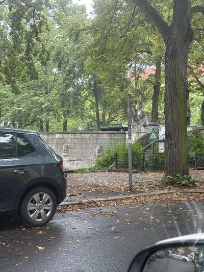 Giftköder-Eichenprozessionsspinner-Bild